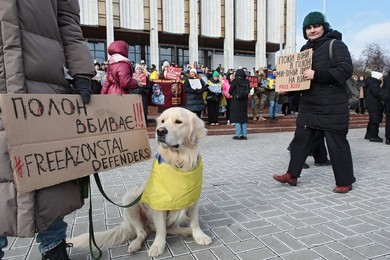 Image 961788741