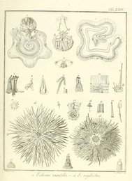 Image 961859965