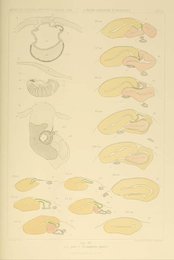 Image 961903732