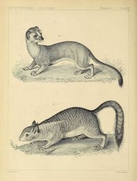 Image 961903756