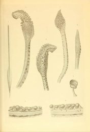 Image 962011676