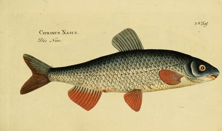 Image 962060205