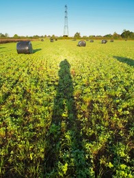 Electricity pylon and bale silage bags in Radley Village at dawn
