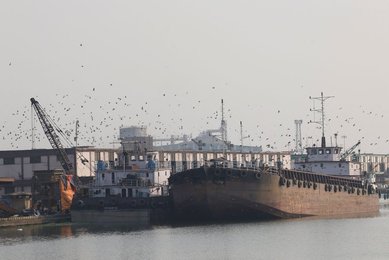 Image 966346326