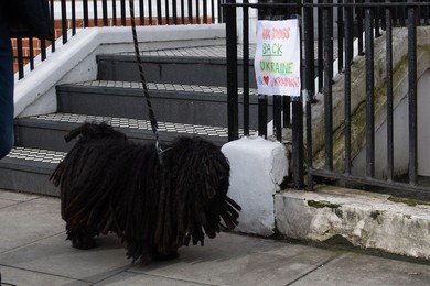 Image 967585879