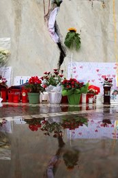 Image 968639582