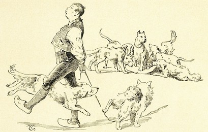 Image 969193395