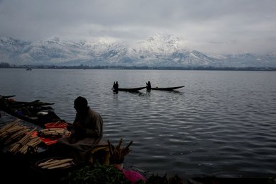 Image 970078366