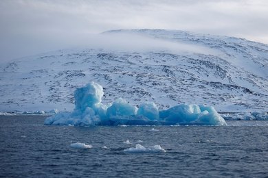 Image 973228889