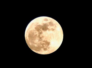 Image 975445273