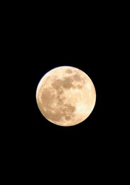 Image 975445279