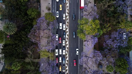 Image 975529767