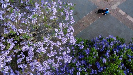 Image 975531254