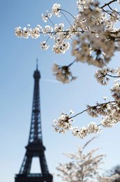 Image 977152902