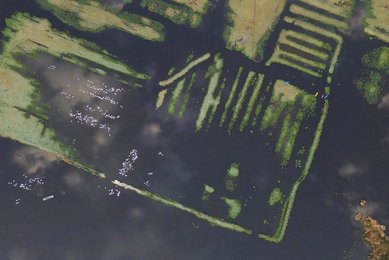 Image 977745374