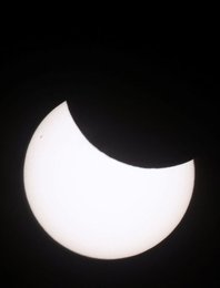 Image 981049781