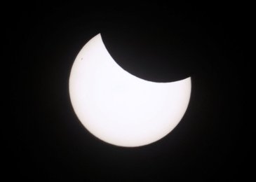 Image 981049784