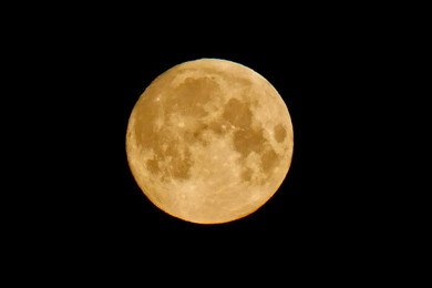 Image 987009115