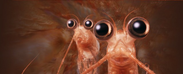 "Happy Feet Two" (2011)