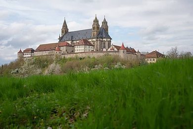 Image 988478686