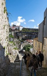 Image 988490195