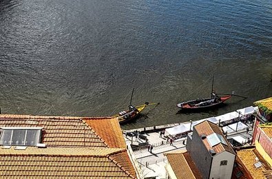 Image 988511408