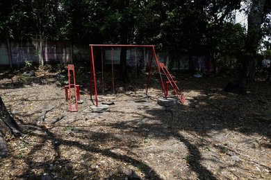 Image 990663529