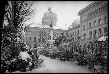 Christmas tree market in Berne.