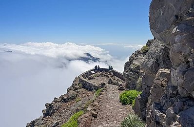 Image 991525962