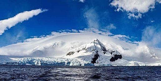 Image 991525995