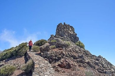 Image 991528001