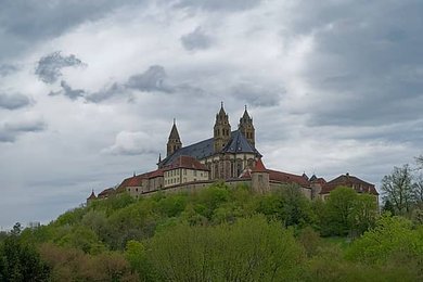 Image 991528076