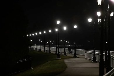 Image 991528888
