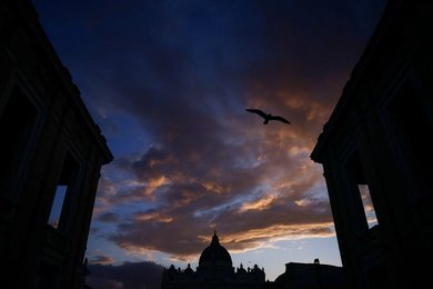 Image 991803245