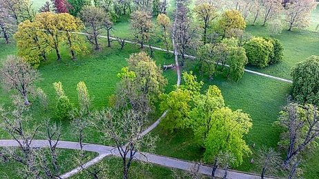 Image 992381482