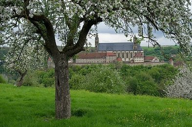 Image 993721974