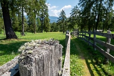 Image 994730321
