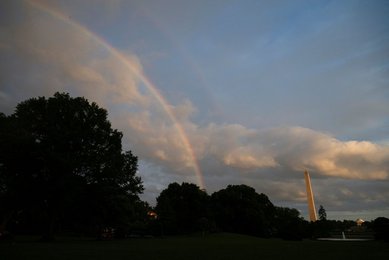 Image 995200016