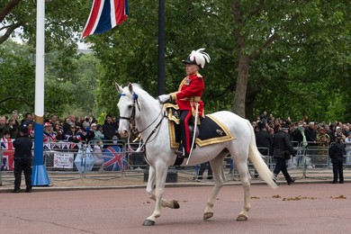 Image 995540273
