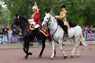Image 995540288