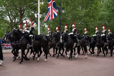 Image 995540301