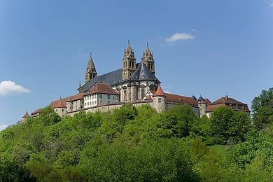 Image 995909501