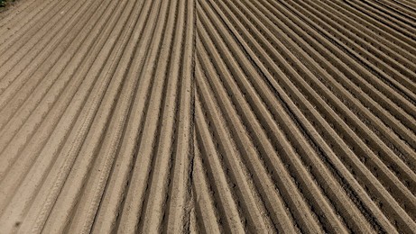 Image 996102736