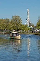 Image 996866670