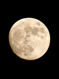 Image 997787829