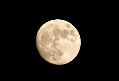 Image 997787849