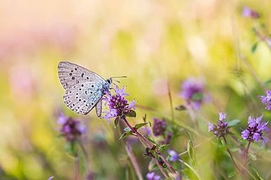 Image 999214405