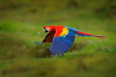 Image 999241085
