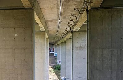 Image 1001866250