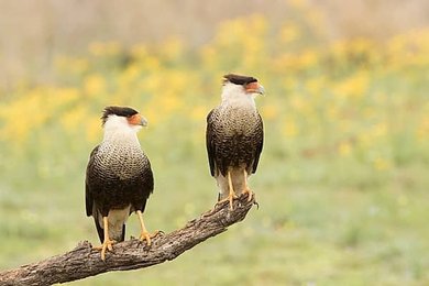 Image 1003185799